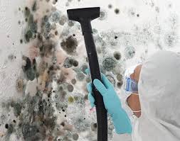 Best Emergency Mold Remediation  in Rock Hall, MD